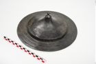 Foto von Bronzephalere (NHMW-PRAE-025108)